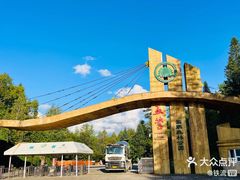 -五营红松林海景区