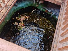 -锦上中式酒馆(南内环店)