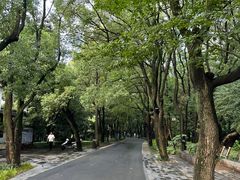 -东湖落雁景区