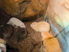 -昆明大悦城未来动物城(螺蛳湾中心店)