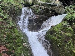 -本溪汤沟绿石谷森林公园