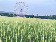 -云幽谷旅游区