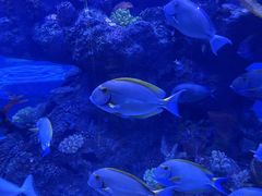 -成都浩海立方海洋公园