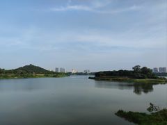 -立新湖公园