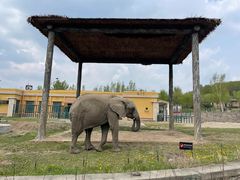 -哈尔滨北方森林动物园