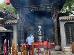 -大槐树寻根祭祖园
