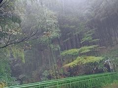 -藏龙百瀑风景区