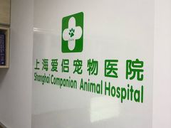 -爱侣宠医·鹦鹉专科·小型哺乳类·异宠专科(灵石路店)