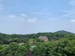 -上海佘山世茂艾美酒店
