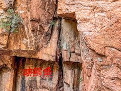 -崂山九水游览区