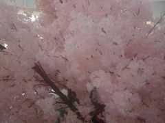 -螺大蛳柳州螺蛳粉·火锅·热干面(西城永捷店)