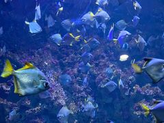 -海合安青岛极地海洋公园