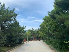 -大连步云山老汤度假山庄