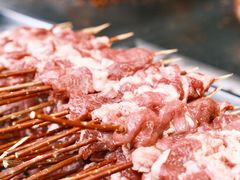 红柳烤肉-艾力江和田馕坑烤肉店