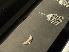 -深圳珠宝博物馆