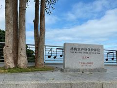 -杨梅坑