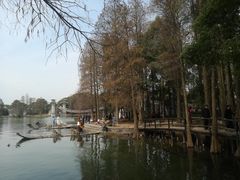-东湖落雁景区