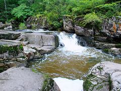 -茅兰沟国家森林公园
