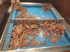 水产区-蟹将军·松叶蟹和牛日料放题自助(K11店)