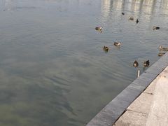 -南宁南湖公园