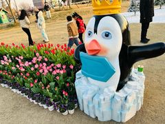 -荷兰花海