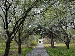 -黑龙江省森林植物园