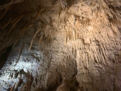 -怀托摩萤火虫洞