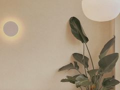 -bear cafe熊咖啡(和平中路店)