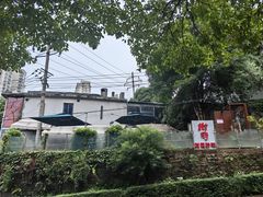 -树厨贵州菜(铜仁花果山店)