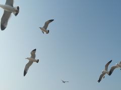 -星海广场