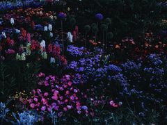-海淀公园
