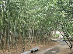 -江宁织造博物馆