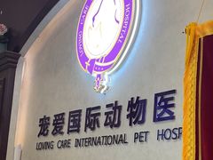 -宠爱国际动物医院·疑难骨科·心肾内科·皮肤科(太阳宫店)