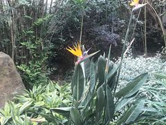 -深圳仙湖植物园-停车场
