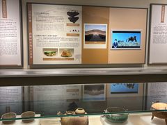 -中国茶叶博物馆(双峰馆区)