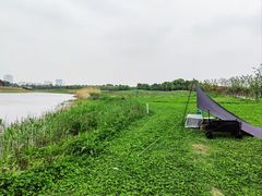 -苏州湾体育公园
