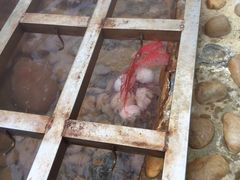 -江门古兜温泉小镇