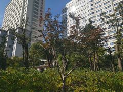 -兰溪青年公园