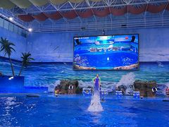 -多彩贵州城极地海洋世界