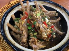 -全乐鱼馆·淳牌有机鱼直营店
