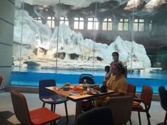 -帝企鹅自助餐厅•儿童岛•真企鹅(长隆企鹅酒店)