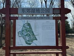 -东郊湿地公园
