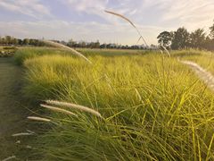 -汉长安城未央宫国家考古遗址公园