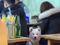 -晓靖轩烧烤(沙河风情店)