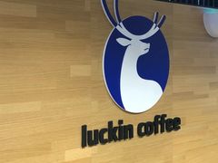 -luckincoffee瑞幸咖啡(顺义华联商厦店)