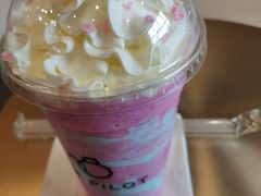 -飞行喵MR PILOT|猫舍·猫咖(静安大融城店)