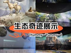 -中国湿地博物馆