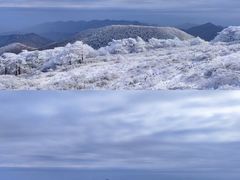 -秦岭风景区