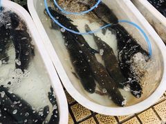 -江杨农产品批发市场