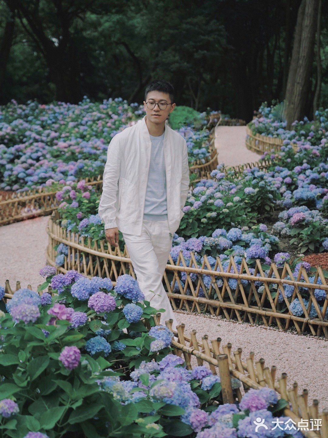 无尽夏绣球开啦🌸最新共青森林公园拍照攻略